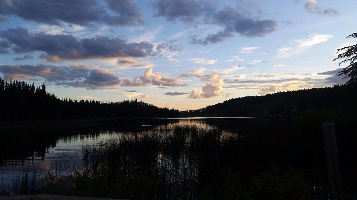 Lac Le Jeune Nature Resort Logan Lake Kültér fotó