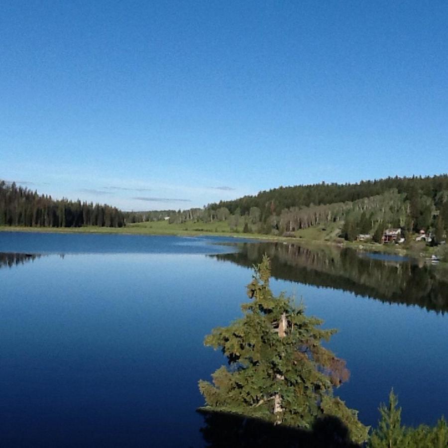 Lac Le Jeune Nature Resort Logan Lake Kültér fotó