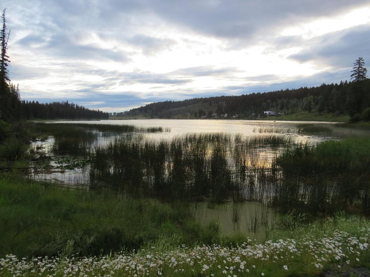 Lac Le Jeune Nature Resort Logan Lake Kültér fotó